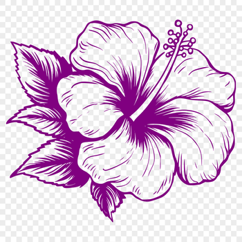 A stylized illustration of a hibiscus flower with layered petals, suitable for vector art designs.