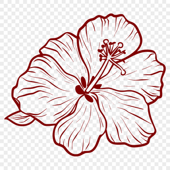 Beautiful Flower Digital Drawing