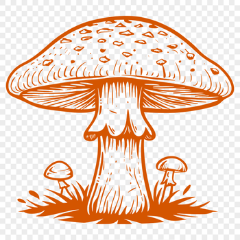 Stunning Mushroom Digital Drawing