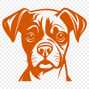 A head-on view of a Boxer dog breed with a distinctive muzzle and wrinkled forehead.