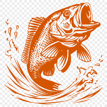 An intricately designed vector graphic of a Crappie showcasing its distinctive features.