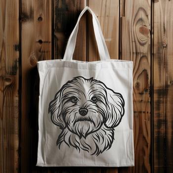 Small breed dog with curly coat and expressive face.