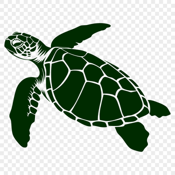 A full body illustration of a sea turtle in its natural habitat.