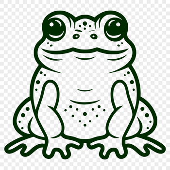 A colorful illustration of a toad in full body view, suitable for vector design and commercial or personal use.