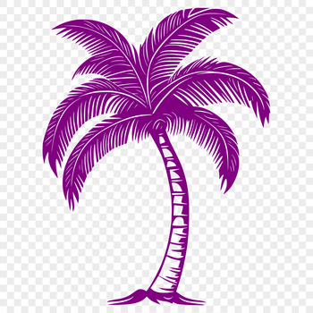 A lone palm tree standing on a sandy beach with a clear blue sky in the background.