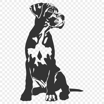 A full-body illustration of a sitting Great Dane dog breed.