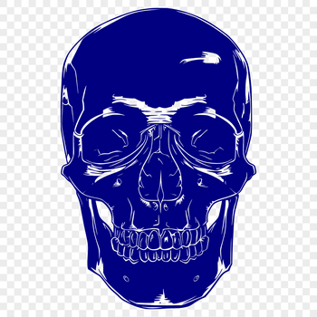 A detailed illustration of a human skull with a bold design style suitable for tattoo art or stencil designs.