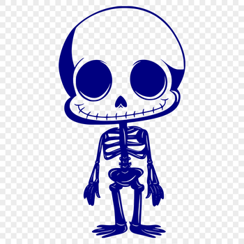 A detailed illustration of a full-body skeleton in a standing position.