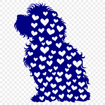 A Havanese dog breed in a sitting pose with heart symbols around it.