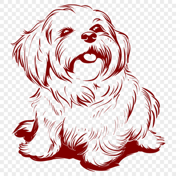 A close-up illustration of a happy Havanese dog sitting on its hind legs.