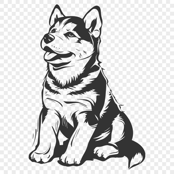 A Siberian Husky breed dog sitting in full body profile with fur details.
