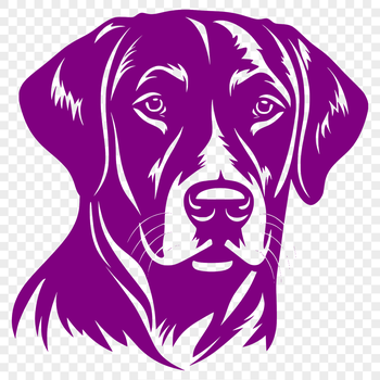 A vector illustration of a Labrador Retriever's head, suitable for digital design projects.