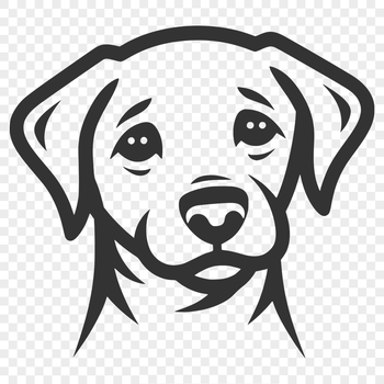 A vector illustration of a friendly dog breed, the Labrador Retriever.
