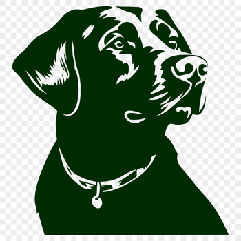 A realistic vector illustration of a Labrador Retriever's head, suitable for digital design projects.