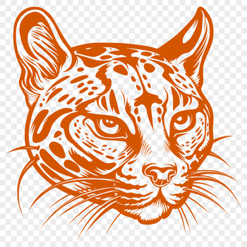 A close-up of a large cat's head, showcasing its distinctive features and markings.