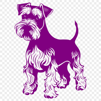 A portrait of a small, fluffy dog standing on its hind legs with a distinctive beard.