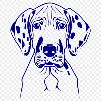 A high-quality vector illustration of a large Great Dane's head, suitable for various design applications.