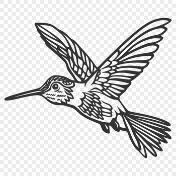 A detailed illustration of a hummingbird in flight, showcasing its iridescent feathers.