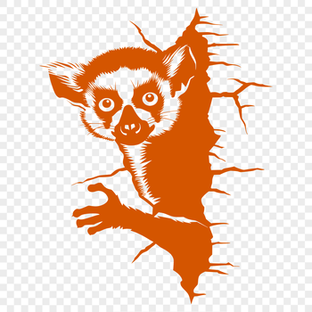 A digital illustration of a lemur in a neutral pose, suitable for vector design.