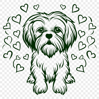 A sitting dog breed, the Shih Tzu, depicted in vector format.
