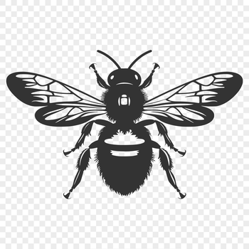 A detailed illustration of a bee in full body pose, suitable for graphic design and digital crafting.