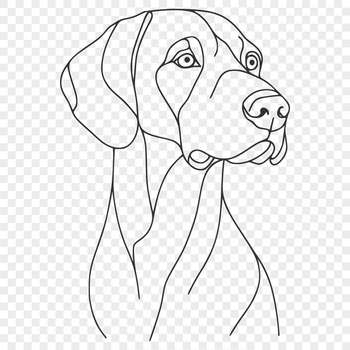 A high-resolution vector illustration of a Weimaraner dog breed, suitable for digital design and printing.