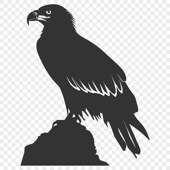 A detailed illustration of an eagle in full body, perched on a branch.