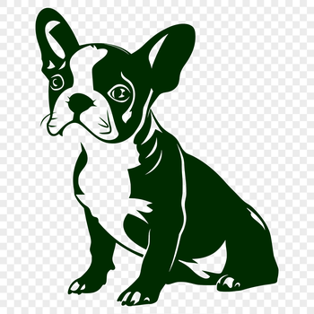 A high-quality illustration of a sitting dog with a distinctive short coat.