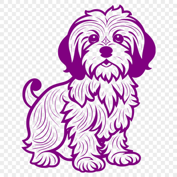 A standing dog breed illustration, specifically a Havanese, depicted in a full-body pose.