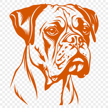 A high-quality vector illustration of a Boxer's head, suitable for digital design and cutting machine applications.