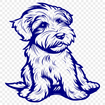 A small, fluffy dog with a curly coat sitting on its haunches.