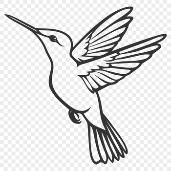 A colorful hummingbird in mid-flight, depicted in vector form.