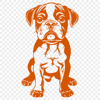 A full-body illustration of a sitting dog breed known as a Boxer.