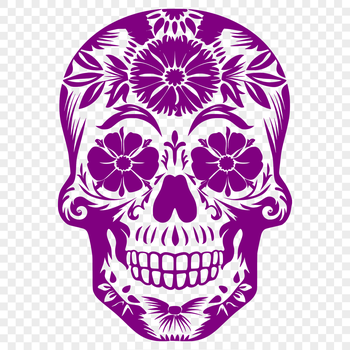 A detailed illustration of a skull in various design styles.