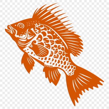 A detailed illustration of the full body of a Crappie fish.