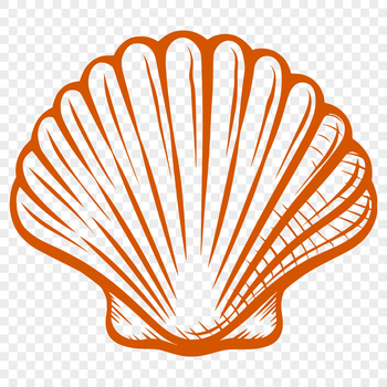 An intricately detailed SVG image of a seashell, ideal for use in graphic designs and digital art.