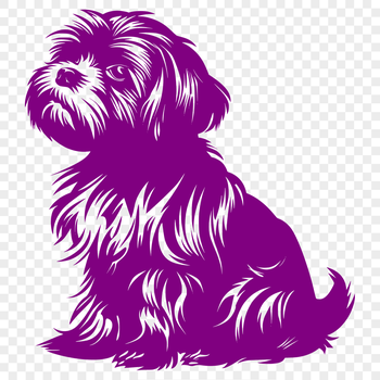 A vector graphic representation of a domesticated Shih Tzu animal in a sitting position.