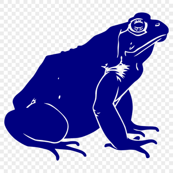 An illustrated toad in full body pose.