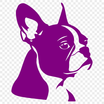A detailed illustration of a Boston Terrier's head with a clear outline, suitable for vector art designs.