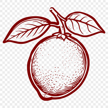 Illustrated image of a lemon fruit in high-resolution vector format.