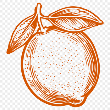 A simple illustration of a lemon with smooth skin.