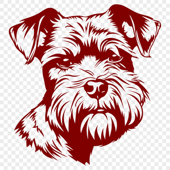 Illustration of a Miniature Schnauzer dog breed, suitable for vector art and clipart designs.