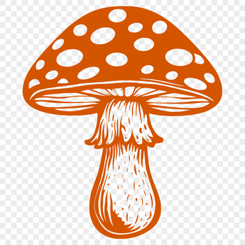 A vector graphic representation of a mushroom in various growth stages.