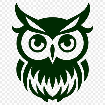 A detailed illustration of an owl's head with intricate feathers and facial features.