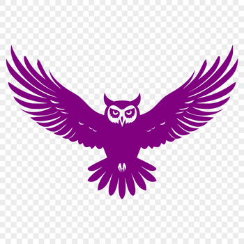 Unique Owl Vector Drawing