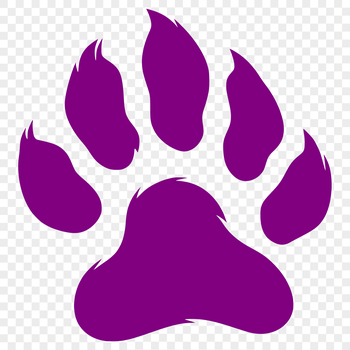 High-quality vector design of individual paw prints with detailed lines.