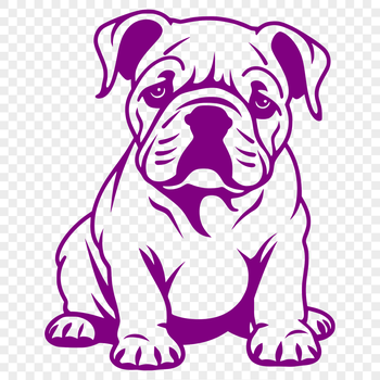 A sitting bulldog in full body view, suitable for personal or commercial use as vector art.