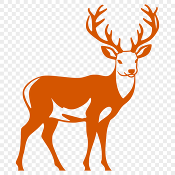 A detailed, full-body illustration of a deer in vector format.