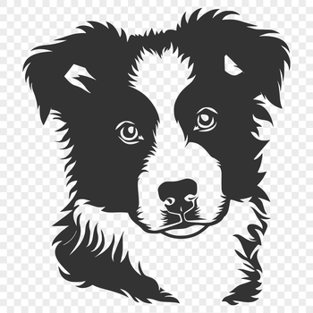 Illustrated Australian Shepherd dog with its head in a profile view.