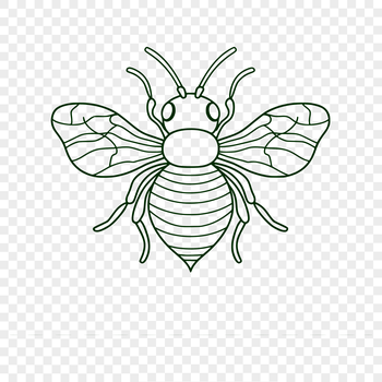 A detailed illustration of a full-body bee with intricate details.